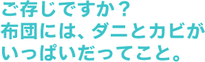 ご存じですか？布団には、ダニとカビがいっぱいだってこと。